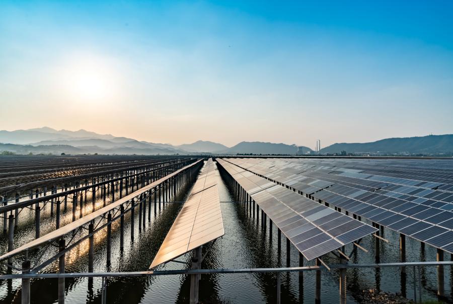 Solar panel field, Source: iStock