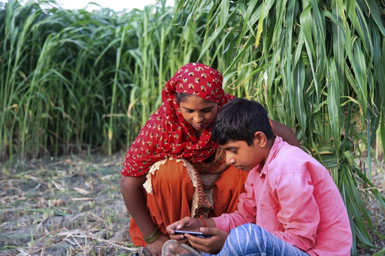 People in a plantation, Source: iStock